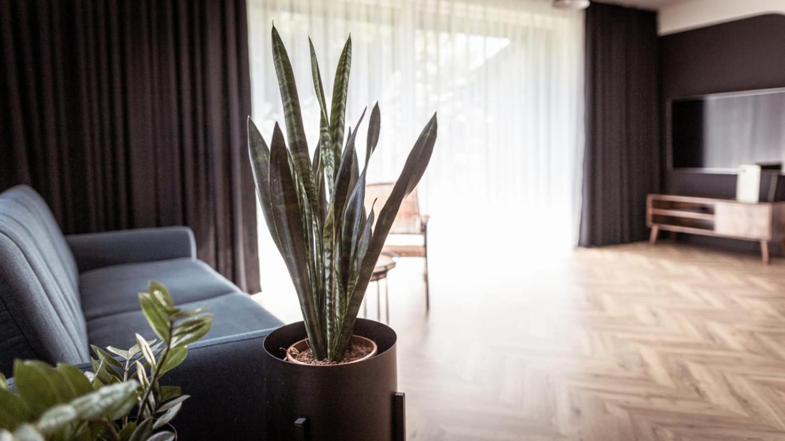 Apartments Abcd Biała Podlaska Eksteriør bilde