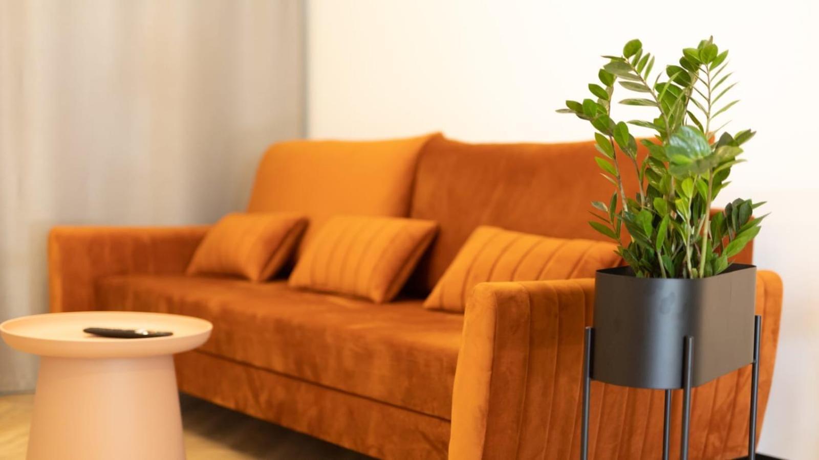 Apartments Abcd Biała Podlaska Eksteriør bilde